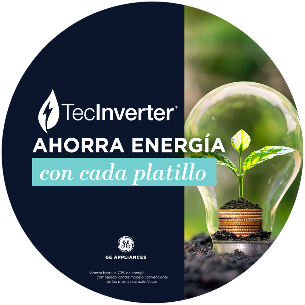 Highlight Mabe Image about TecInverter
